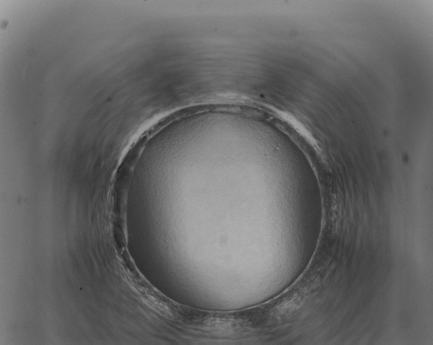 X0000066521364200603311744