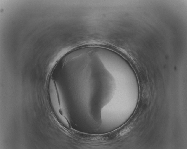 X0000066521367200603311744