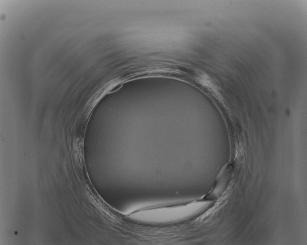 X0000066521369200603311744