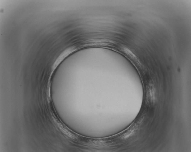 X0000066521370200603311744