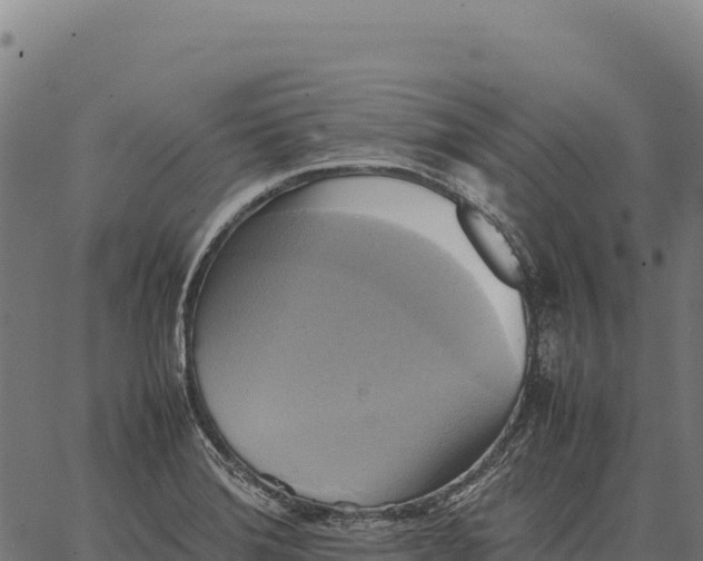 X0000066521372200603311744