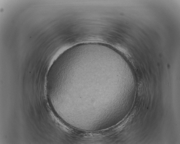 X0000066521374200603311744