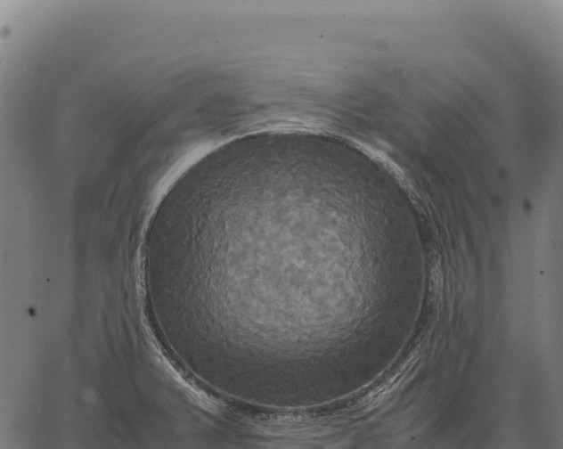 X0000066521375200603311744