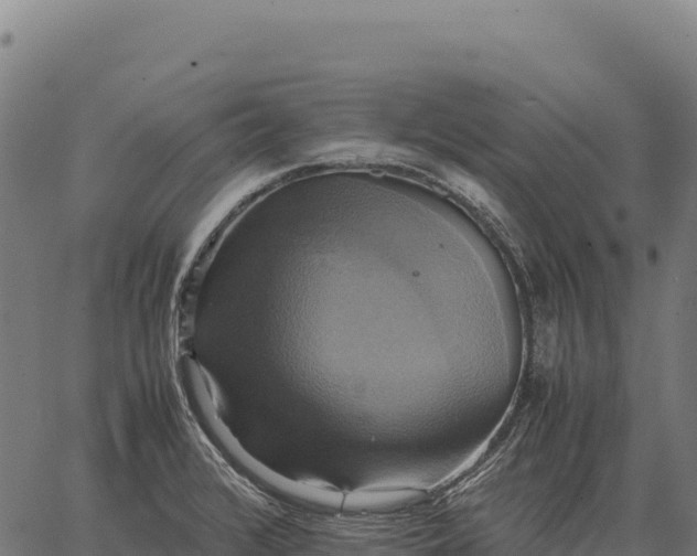 X0000066521376200603311744