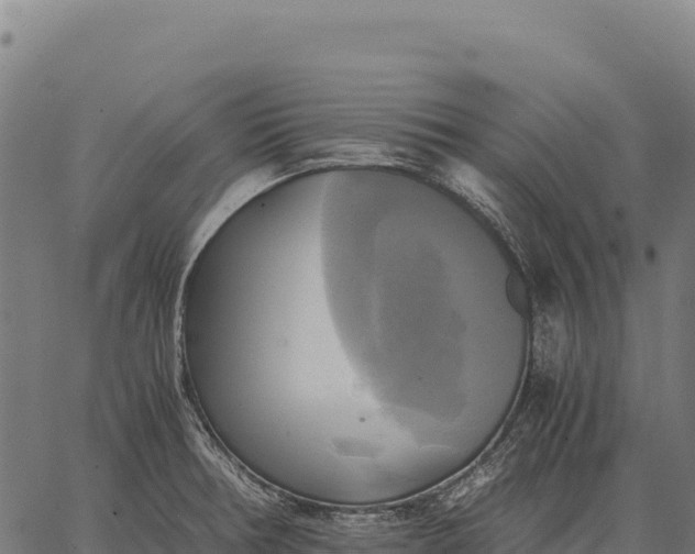 X0000066521378200603311744