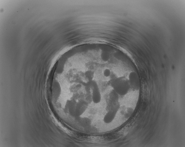 X0000066521379200603311744