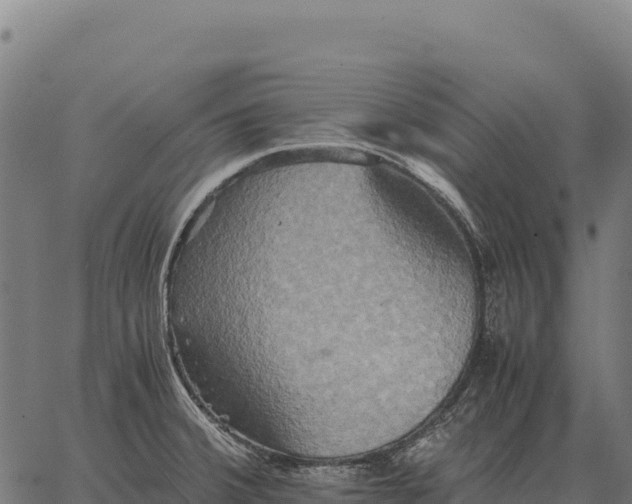 X0000066521380200603311744