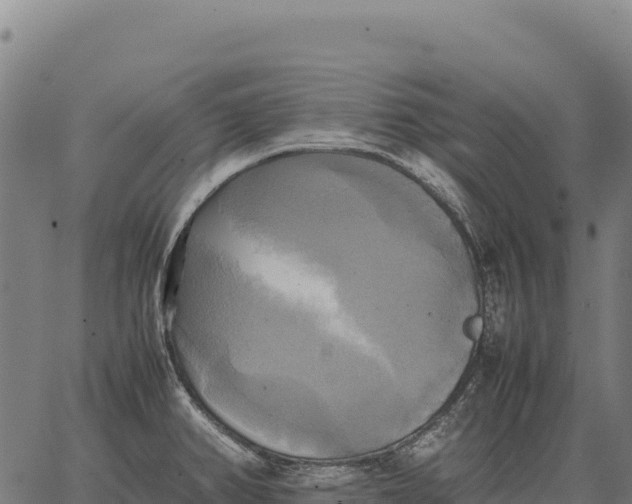 X0000066521382200603311743