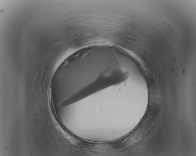 X0000066521383200603311743