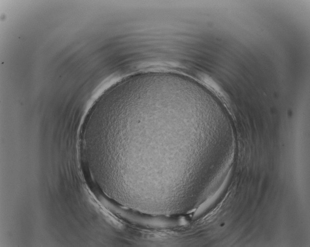 X0000066521384200603311743