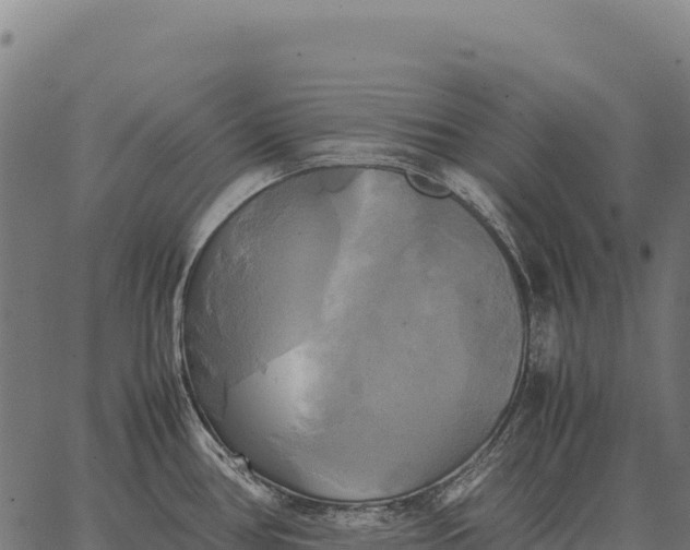 X0000066521386200603311743