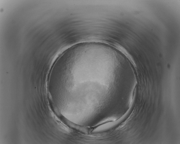 X0000066521388200603311743