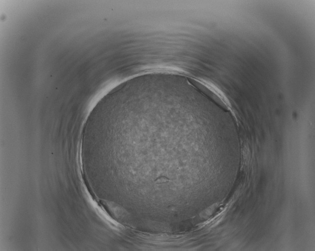 X0000066521391200603311743