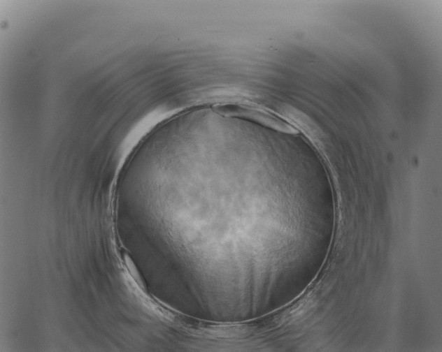 X0000066521392200603311743