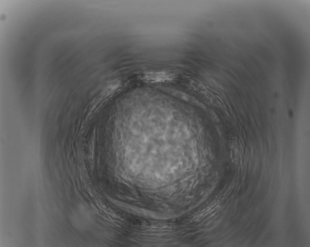 X0000066521393200603311743