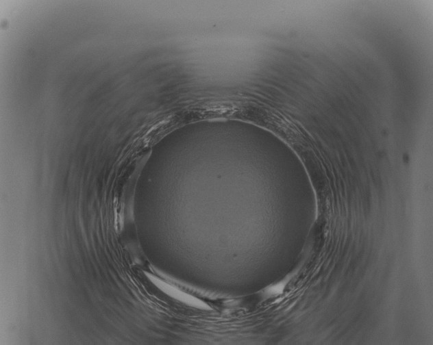 X0000066521394200603311743