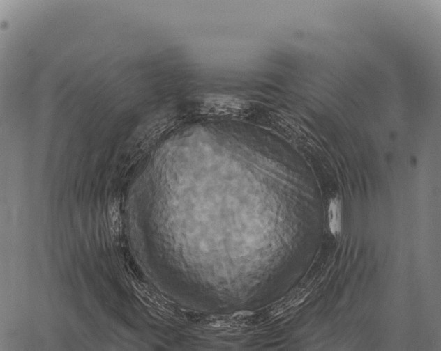 X0000066521395200603311743