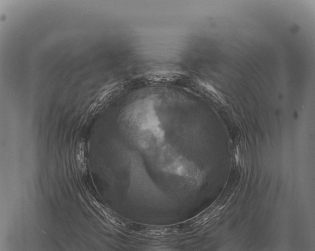 X0000066521396200603311743