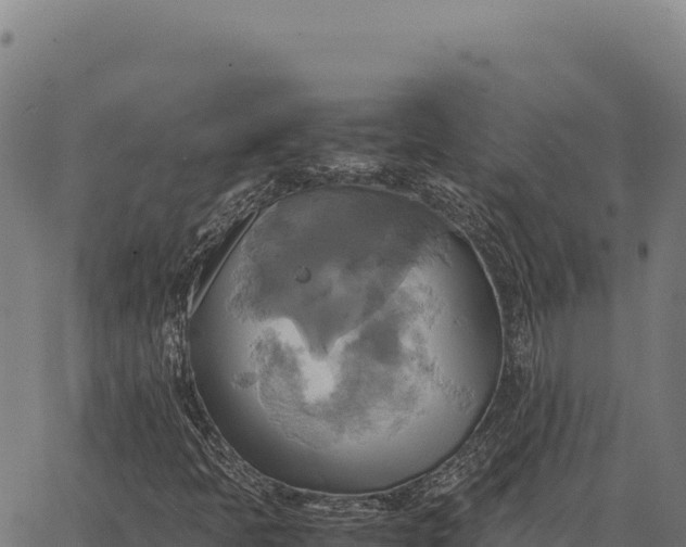 X0000066521397200603311743