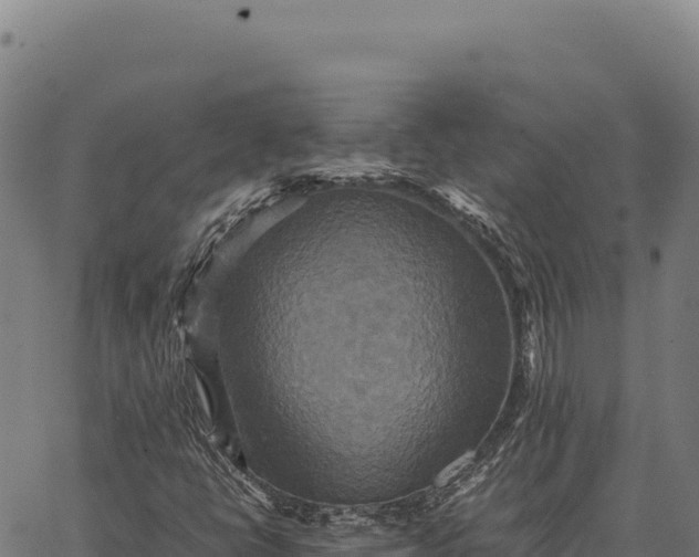 X0000066521398200603311743