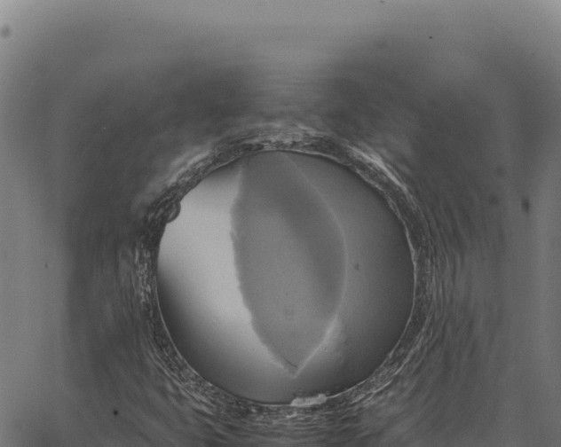 X0000066521399200603311743