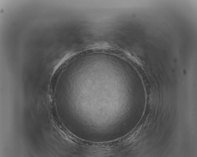 X0000066521400200603311743