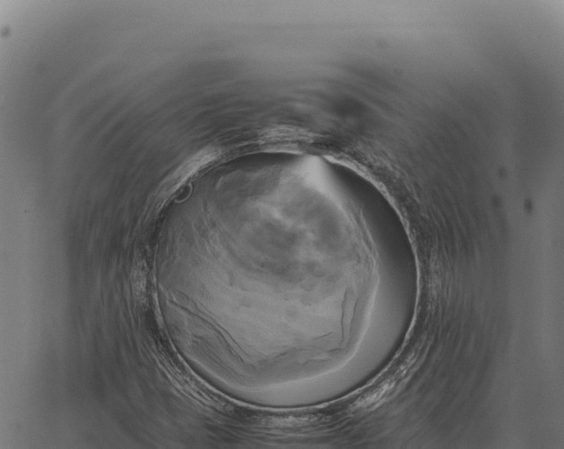 X0000066521401200603311743