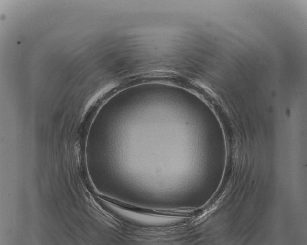 X0000066521402200603311743