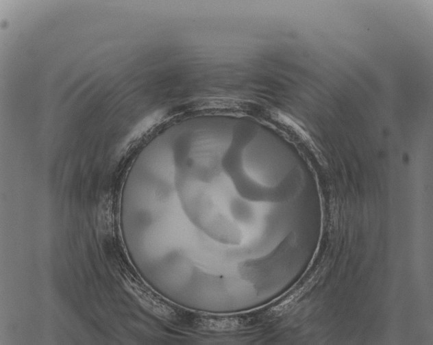 X0000066521403200603311743