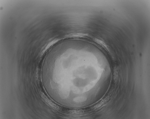 X0000066521404200603311743