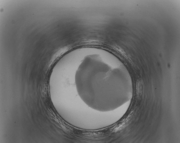 X0000066521405200603311743