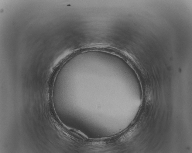 X0000066521406200603311743