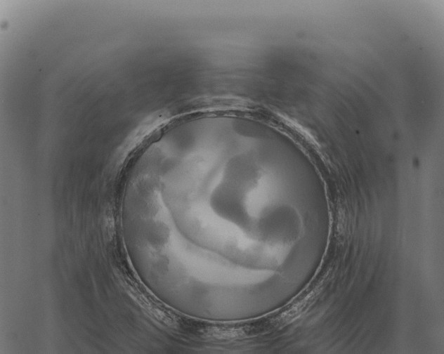 X0000066521407200603311743