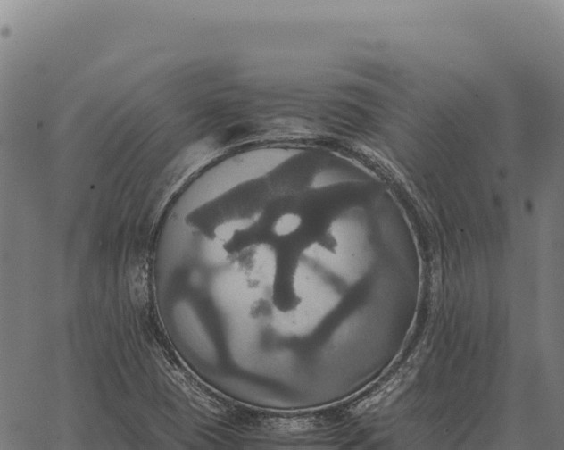 X0000066521409200603311743