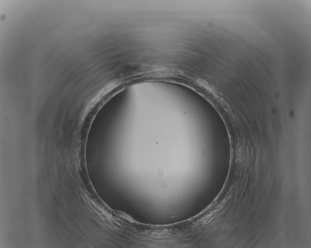 X0000066521410200603311743