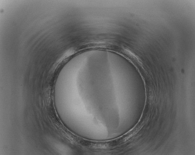 X0000066521411200603311743