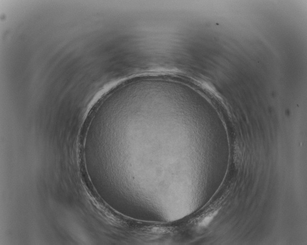 X0000066521412200603311743