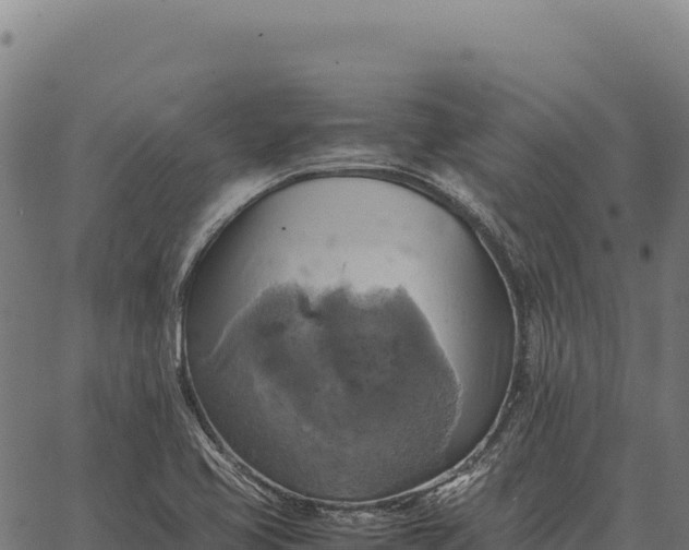 X0000066521413200603311743