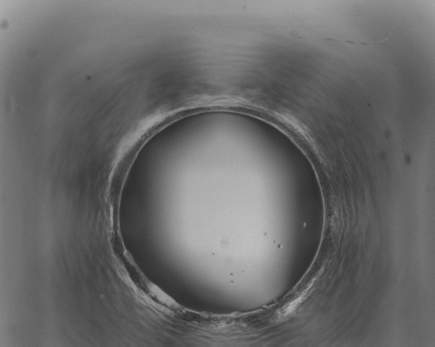 X0000066521414200603311743