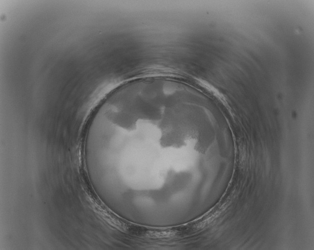 X0000066521415200603311743