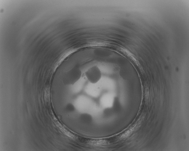 X0000066521417200603311743