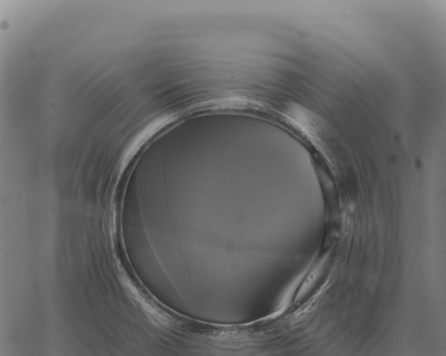 X0000066521418200603311743