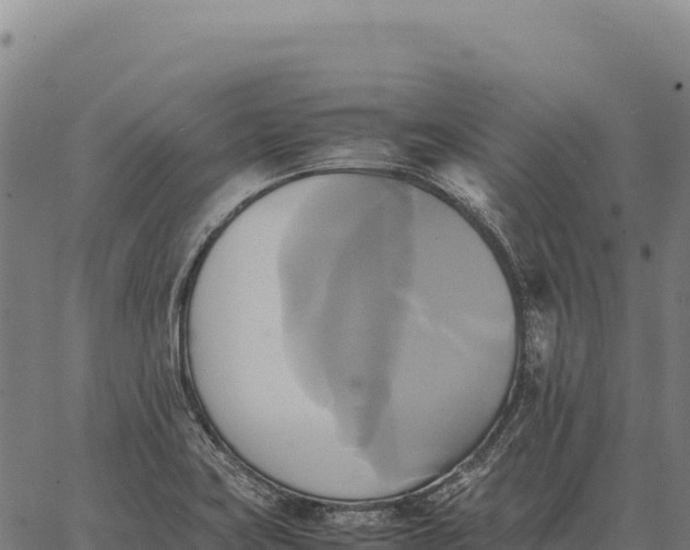 X0000066521419200603311743