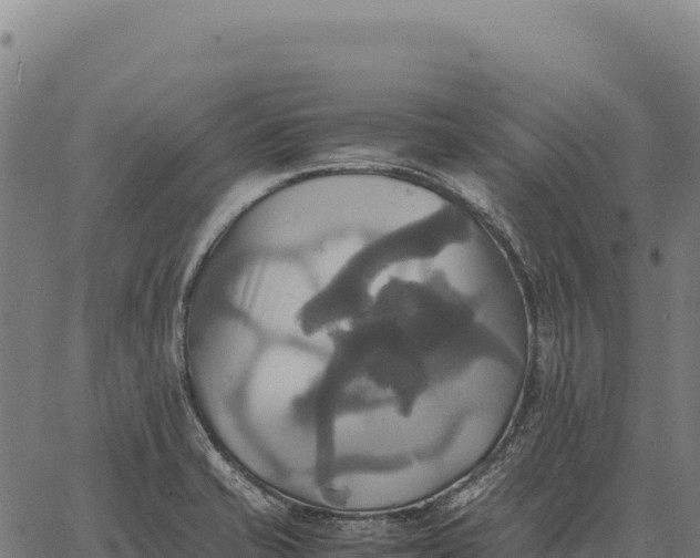 X0000066521421200603311743