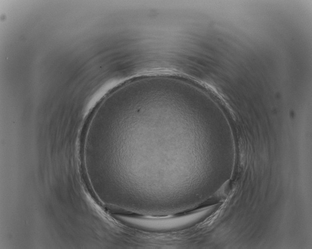 X0000066521422200603311743