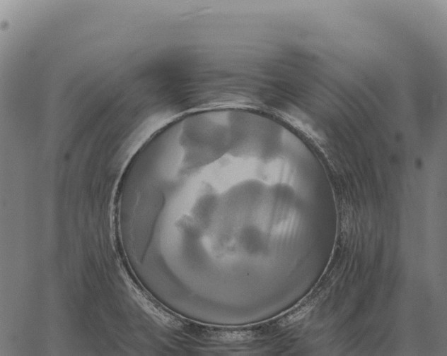 X0000066521423200603311743