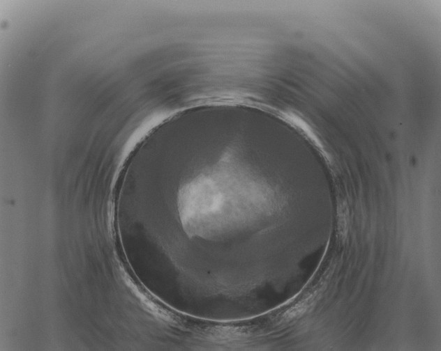 X0000066521424200603311743