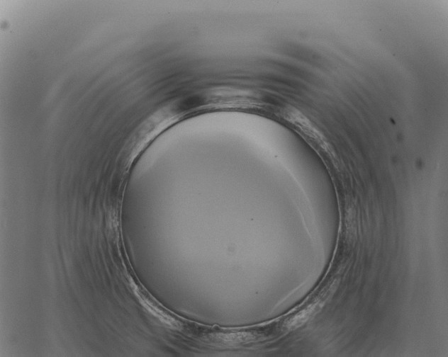 X0000066521425200603311743