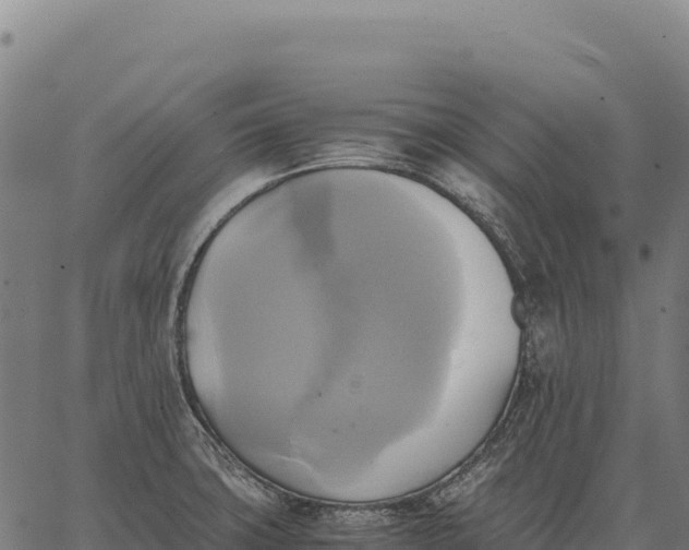 X0000066521427200603311743