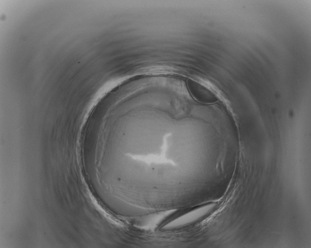 X0000066521429200603311743